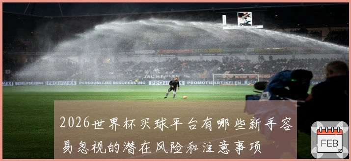 2026世界杯买球平台有哪些新手容易忽视的潜在风险和注意事项